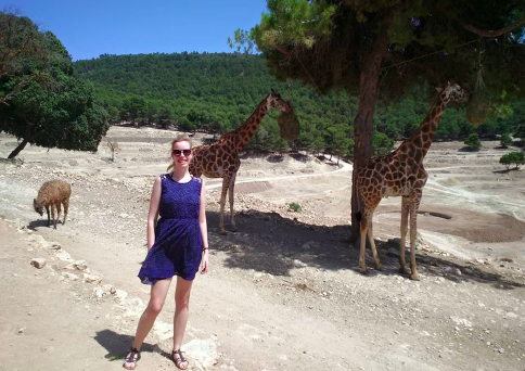 Alicante giraffes