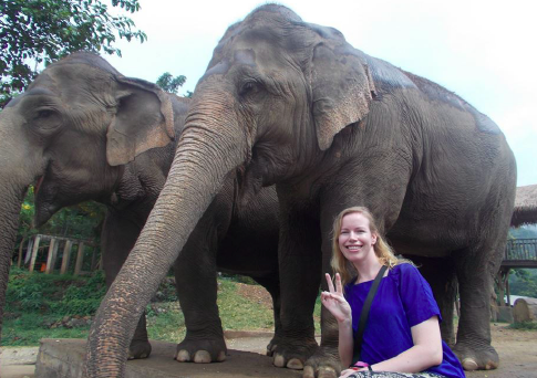 Thailand elephants